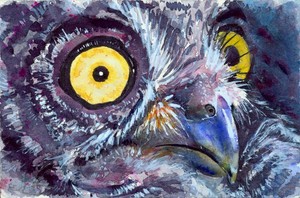 Eyes Of Owl #21 (Original)