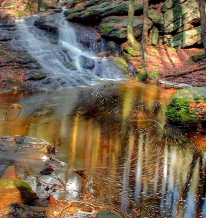 golden falls