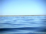 Click for larger view