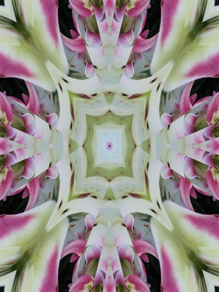 Click to View Image