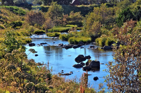 A  Peacefulness !