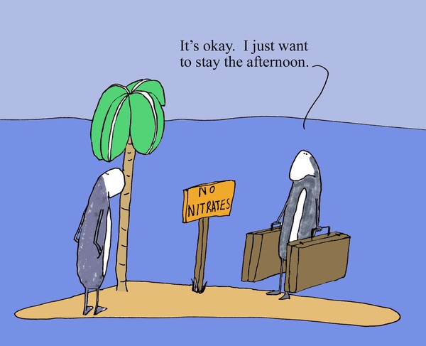 Click to View Image
