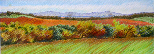 Hills in Santa Rosa