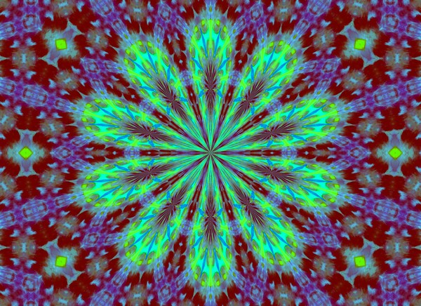 Click to View Image