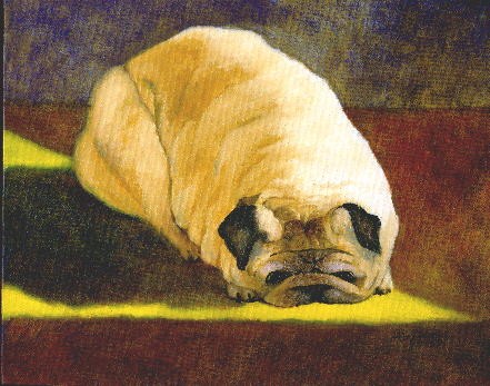 Loaf Pug