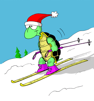 turtle backpack for skiing
