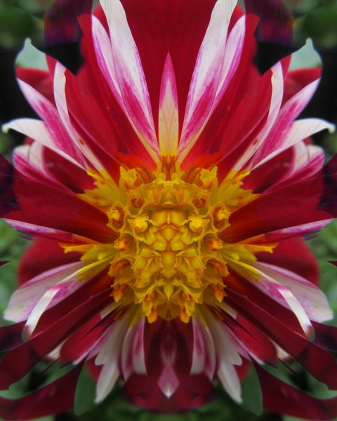 Click to View Image