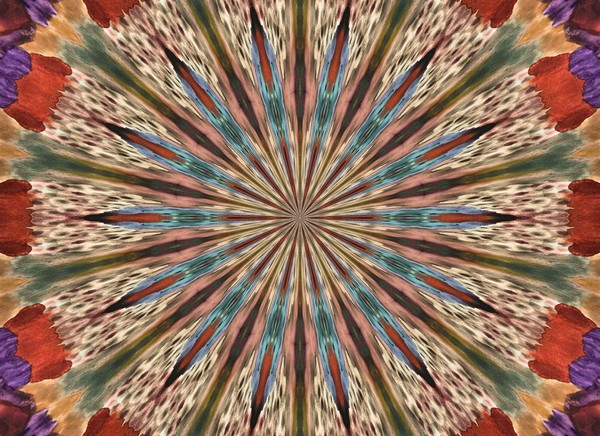 Click to View Image