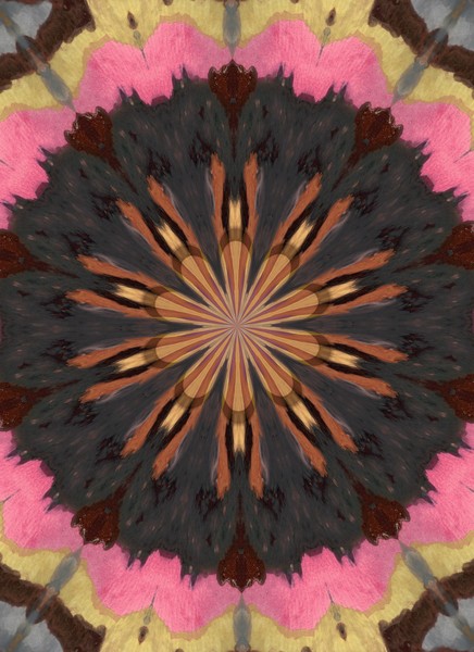 Click to View Image