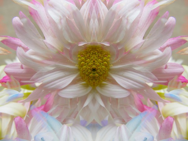 Click to View Image