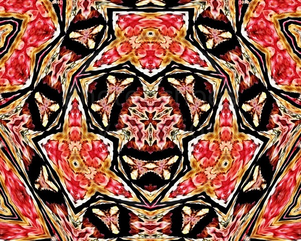 Click to View Image