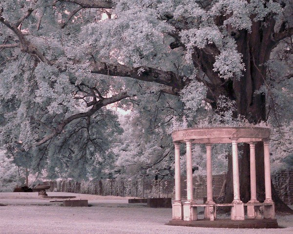 Gazebo Dream