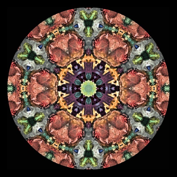 Click to View Image