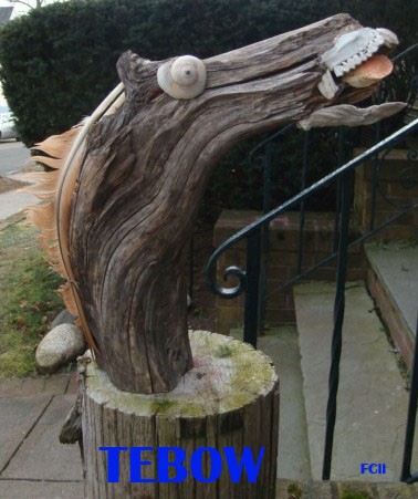 Click to View Image