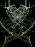 Enigma 33