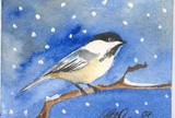 Winter chicadee