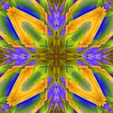 Click to View Image