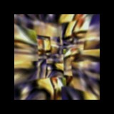 Metamorphosis [video art]