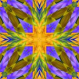 Pansies