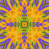 Pansies