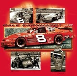 DALE EARNHARDT JR