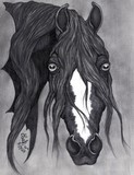 by Leah Jaarveth