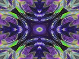 Pansy