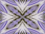 Click to View Image