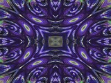 Pansy
