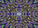 Pansy