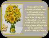 Click to View Image