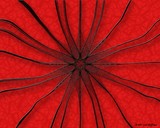 8 Pointed Web on Red