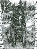 Sam