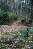 The End of the Trail...kind of...
