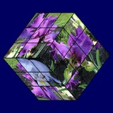 Purple Flowers Cube