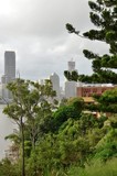 Kangaroo Point vegetation in the foreground