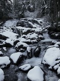 Snowy Cataract Creek 