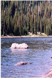 by Jim & Darlene Stewart