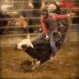Bull Riding No. 1, 2006