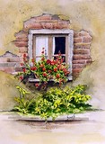Window Box