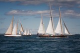 Gloucester Schooner Race 2010, No. 2