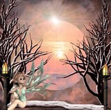 fairy Wonders