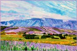 by Nira Dabush
