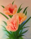 by Barbara Furlong