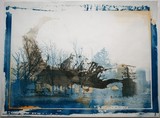 by Elise Brooks