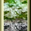 Click to view image