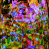 Click to view image