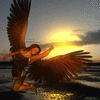 Click to view image