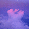 Click to view image