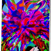 Click to view image